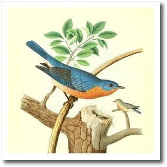 3drose וינטג 'הדפסת ציפורים מזרחית אמנות כחול פראי. - ברזל על העברות חום