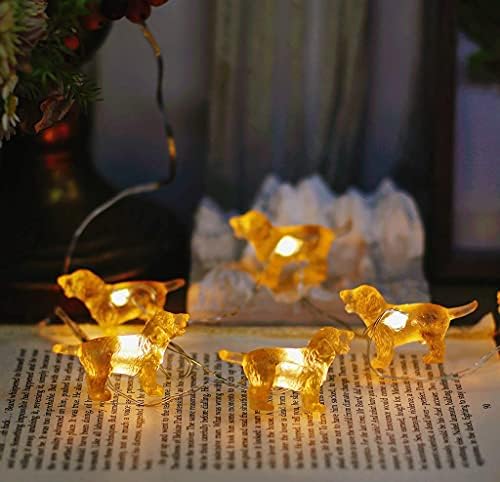 3 ד גור דקורטיבי אורות צנובר סתיו אורות לחג ההודיה וקישוטי עץ חג המולד