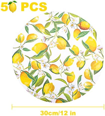 50 חתיכות נייר לימון פיקסמטים בגודל 12 אינץ