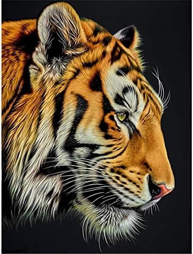 צביעת יהלום של Huacan Tiger, DIY מקדחה עגולה בבעלי חיים ערכות ציור ציור לאמנות למבוגרים לילדים מתחילים 12x16in