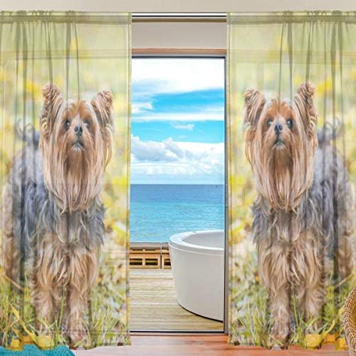 Top Carpenter Yorkshire Terrier Dog על עלים וילונות חצי וילונות חלון וילונות פנלים
