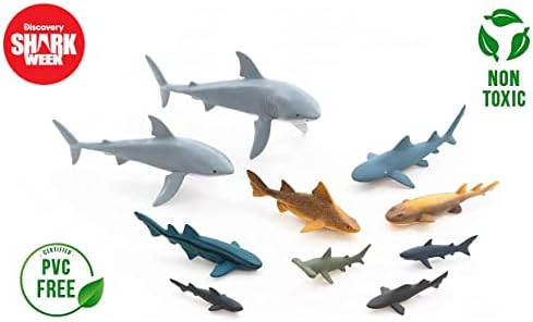 כריש שבוע גילוי - 20 חתיכות פרימיום לאספנים כריש צעצוע משחק, גדול לבן כריש, מאקו, פטיש, גובלין ועוד, יד צבוע, מפורט, ידידותי לסביבה, מורשה באופן רשמי