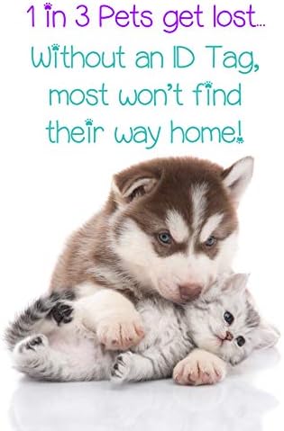 נברסקה קורנהאסקרים 2-צדדי חיות מחמד מזהה כלב תג / רישיון רשמי / אישית עבור חיית המחמד שלך