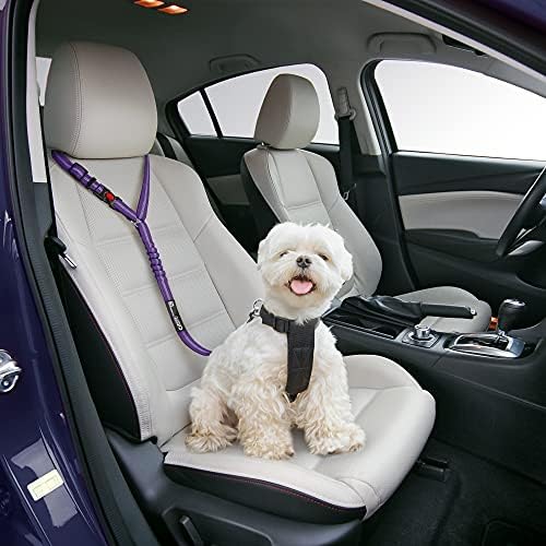 רתמת חגורת בטיחות כלב נוחה לרכב-רצועה 2 ב -1 ואיפוק מאבטחות למשענת ראש. באנג'י מתכוונן, חזק, עמיד, חיבור מסתובב 360 מעלות לא יתפתל, רפלקטיבי, קל לשימוש